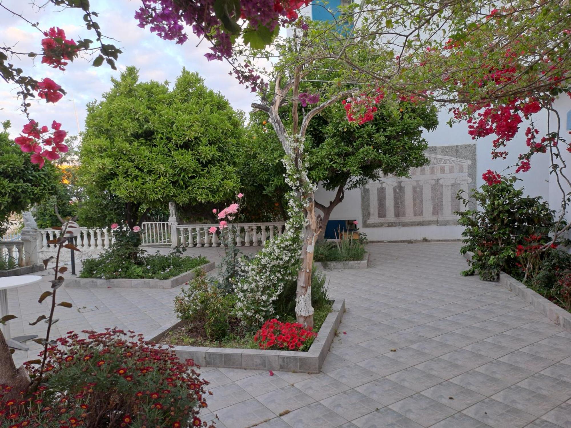 Apollon Aparthotel 2*