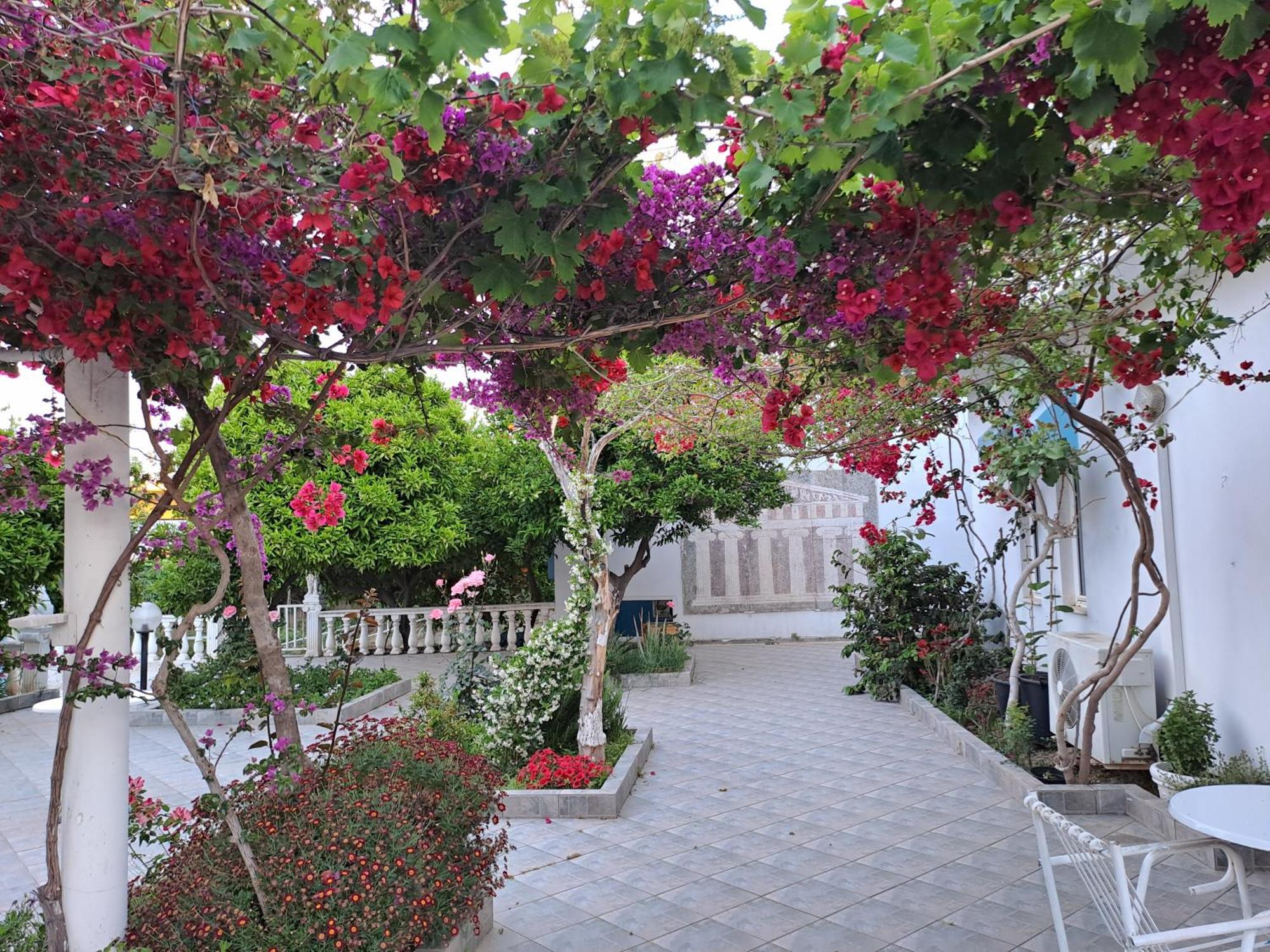 Aparthotel Apollon 2*